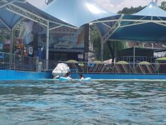 -杭州浪浪浪水公园
