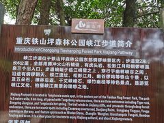 -铁山坪森林公园