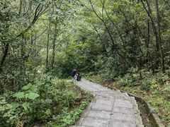 -桃花岭景区