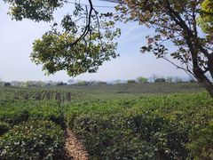 -南京市江宁方山