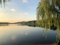 -西湖外事游船(花港观鱼码头)