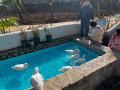 -HERRE·FARM 赫尔露营农场·团建聚会包场