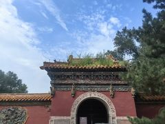 -北陵公园