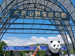 -大青山野生动物园