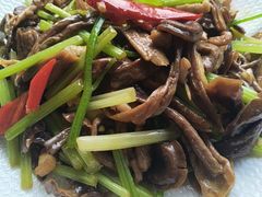-鑫悦楼煎蟹·16年海鲜大排档