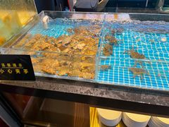 -九月海·海鲜自助(世纪东方店)