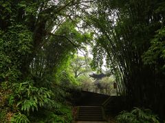 -峨眉山报国寺