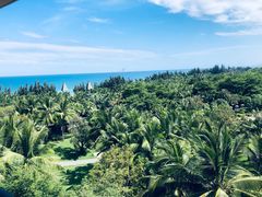 -海南清水湾莱佛士酒店