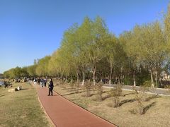 -丁香湖公园