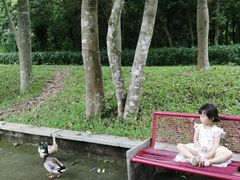 -金山植物公园