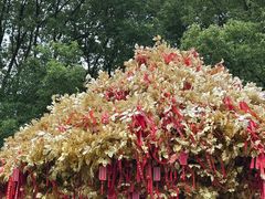 -狼山风景名胜区