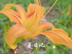 -后襄河公园