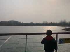 -东郊湿地公园
