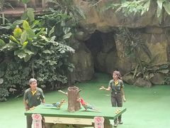 -新加坡飞禽公园