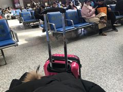 -曲阜东站