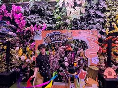 -正佳雨林生态植物园