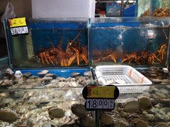-岳各庄批发市场(西四环中路店)