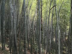 -敬亭山风景名胜区