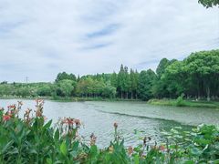 -新洲生态园