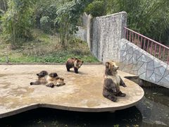 -贵州森林野生动物园