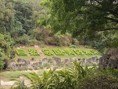 -深圳国际园林花卉博览园