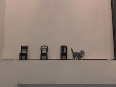 -red donkey coffee