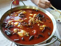 -普天和酒楼·新津菜·烤鸭(天津之眼店)