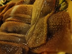 小龙坎毛肚-小龙坎火锅(双林店)