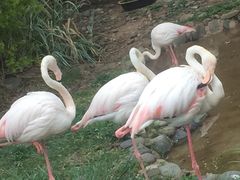 -昆明动物园