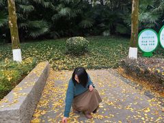 -重庆彩云湖湿地公园