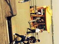 溱湖国家湿地公园-溱湖国家湿地公园