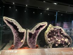 -正佳自然科学博物馆