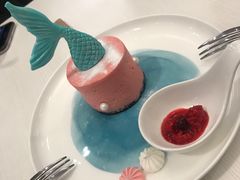 美人鱼芝士-随心小姐