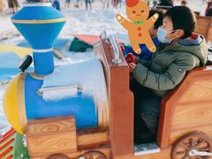 -绿野森林乐园冰雪季