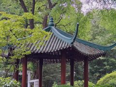 -中山公园