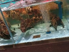 -阿伟海鲜楼·福建菜(延寿店)