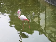 -常州淹城野生动物世界