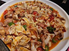 -老板恋上鱼(高新万达店)