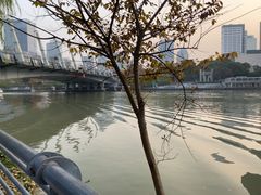 -运河游船(武林门码头)