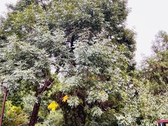 -元大都城垣遗址公园