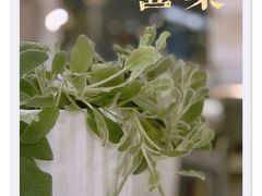 -苦尽酒馆·川菜(鼓楼店)