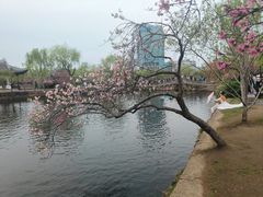 -无锡蠡湖国家湿地公园-蠡园