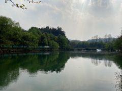 -花溪公园