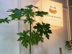 -Kekimatata 生日蛋糕·烘焙教学