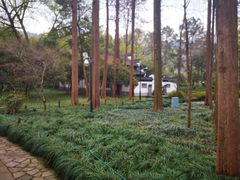 -杭州张苍水先生祠