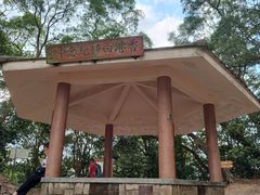 -狮子山郊野公园