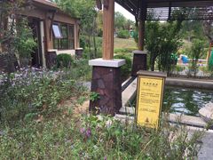 -大连金石滩绿发温泉假日酒店