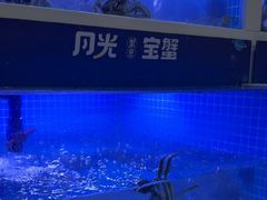 -蟹状元大闸蟹·年货·粽子(成都成华店)
