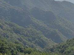 -灵山