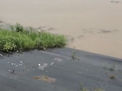-滨江生态公园